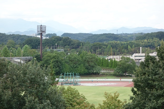 d0183387_19175333.jpg