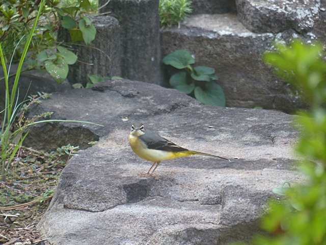 f0357487_22462224.jpg