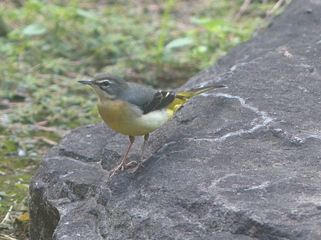f0357487_22465531.jpg