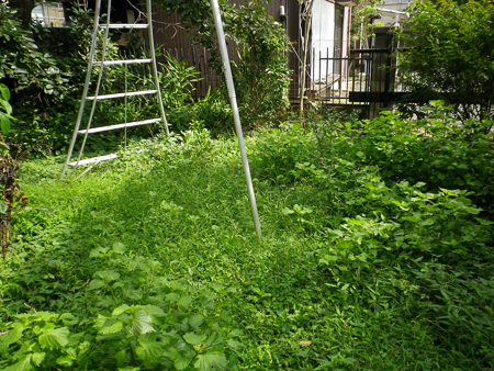 f0239100_11161089.jpg