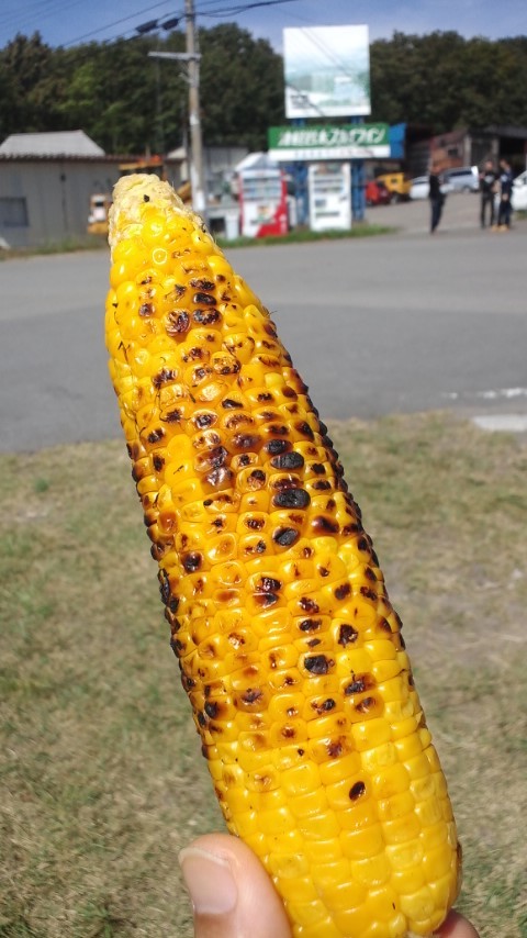 c0336907_19364084.jpg