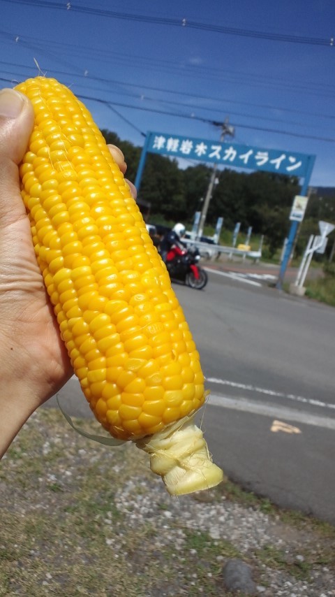 c0336907_19364946.jpg