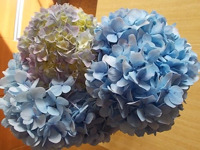 f0316507_14005601.jpg