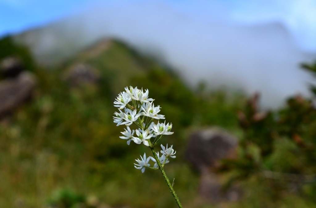 a0340812_17313990.jpg