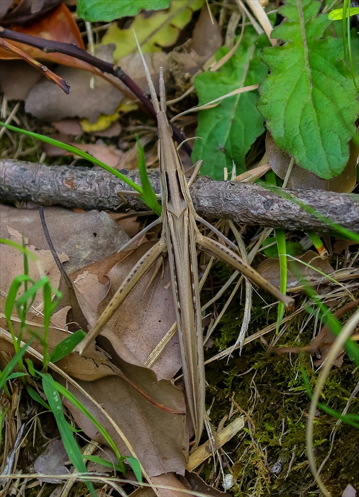 f0363618_21522358.jpg