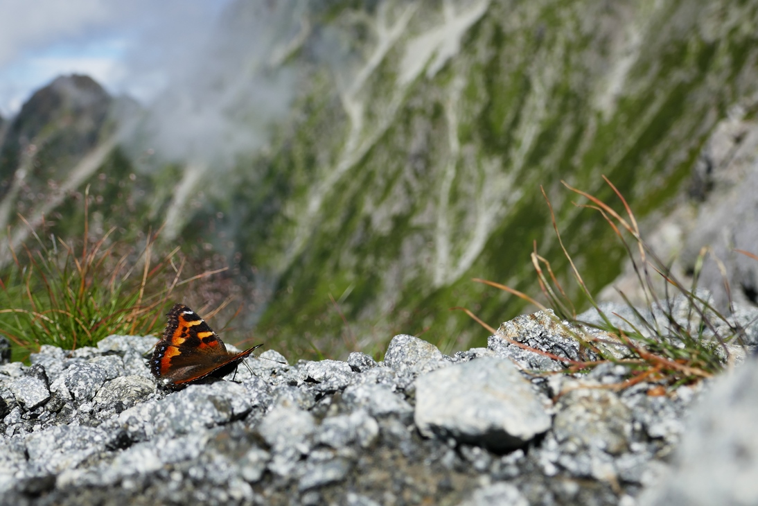 b0146723_22185168.jpg
