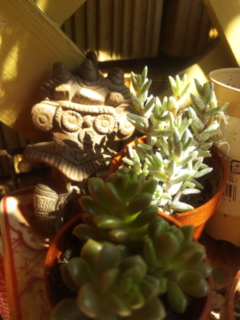 c0056437_919147.jpg