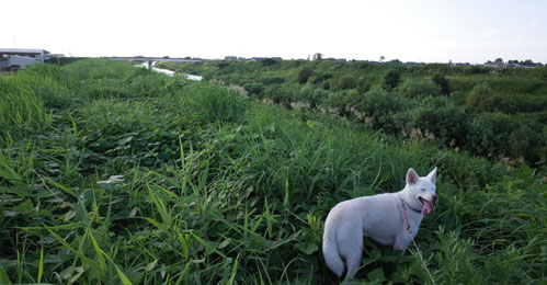 a0117039_23325899.jpg
