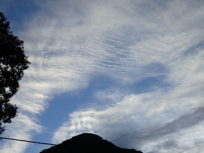 a0054240_21345460.jpg