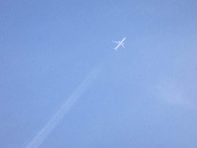 a0054240_21394242.jpg