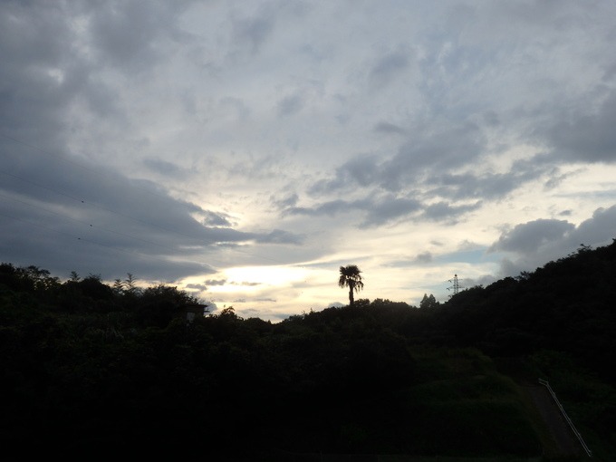 a0054240_2150521.jpg
