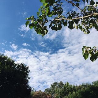 b0351947_10253760.jpg