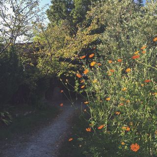 b0351947_10262513.jpg