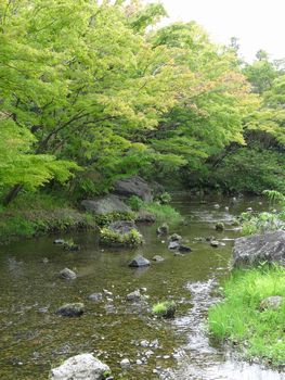 f0191248_1111769.jpg