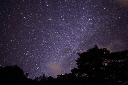 d0177549_645072.jpg