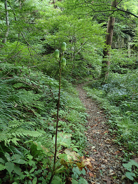 f0214649_17422287.jpg
