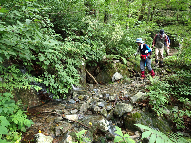 f0214649_1743197.jpg