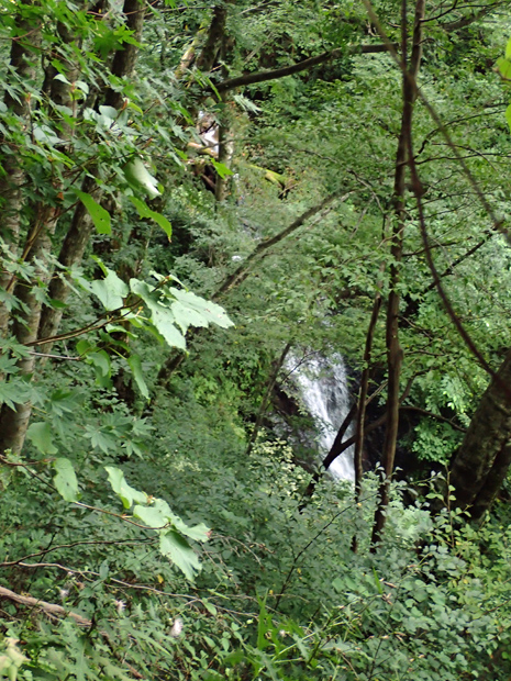 f0214649_17432652.jpg