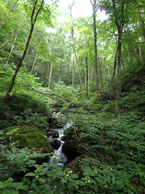 f0214649_17444739.jpg
