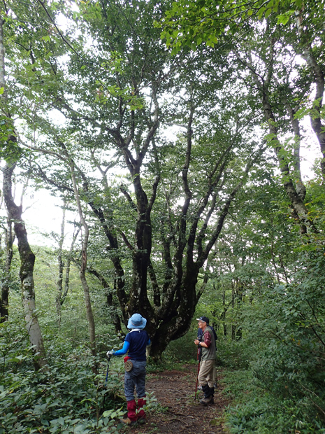 f0214649_3185730.jpg