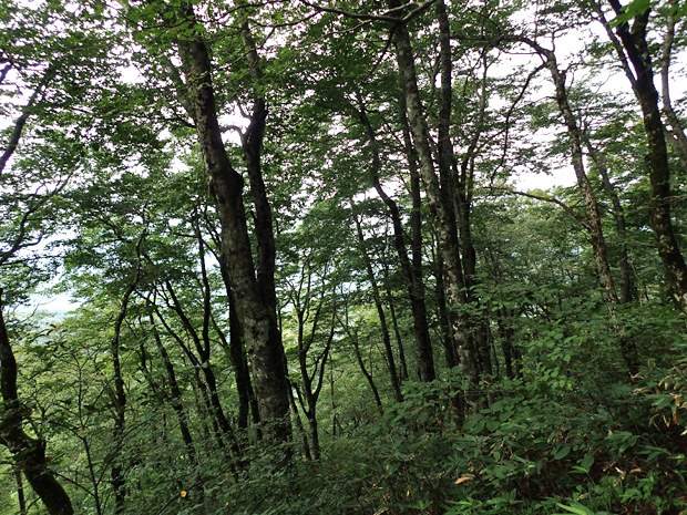 f0214649_3341524.jpg