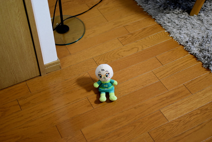 f0363156_1731278.jpg