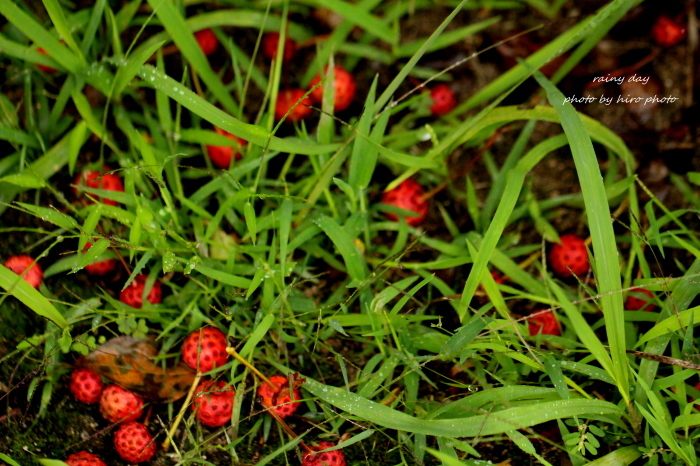 b0328557_20365870.jpg