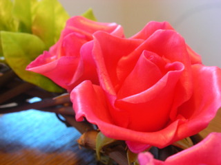 f0374160_17163296.jpg