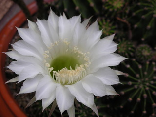 f0374160_17164178.jpg