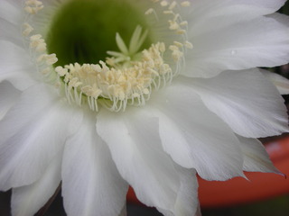 f0374160_17164281.jpg