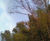 f0374160_17171809.jpg