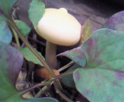 f0374160_17171814.jpg