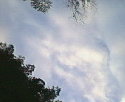 f0374160_17171831.jpg
