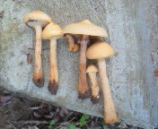 f0374160_17171840.jpg