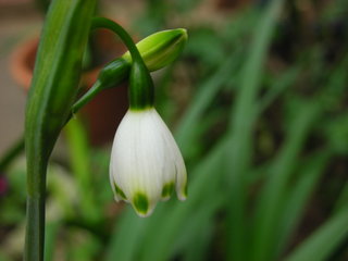 f0374160_17181537.jpg