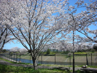 f0374160_17181735.jpg