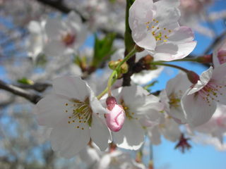 f0374160_17181745.jpg