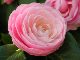f0374160_17181779.jpg