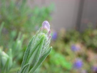 f0374160_17182848.jpg