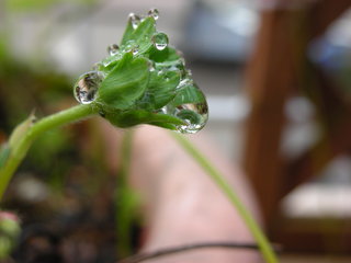 f0374160_17182849.jpg