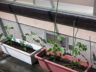 f0374160_17183304.jpg