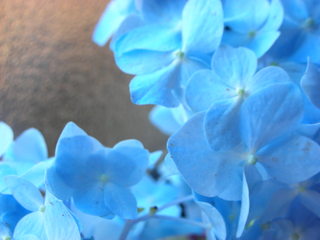f0374160_17185742.jpg