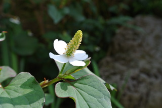 f0374160_17190113.jpg