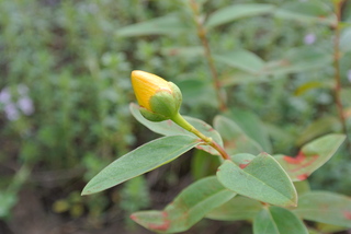 f0374160_17190269.jpg