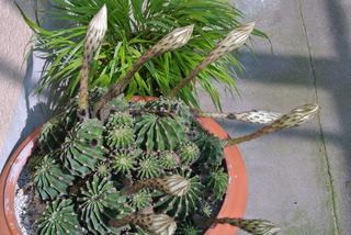 f0374160_17190461.jpg