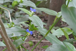 f0374160_17200911.jpg
