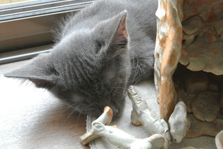 f0374160_17201020.jpg