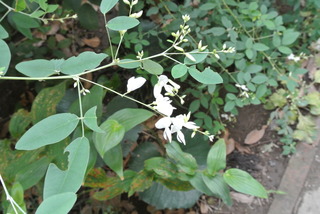 f0374160_17201400.jpg