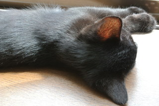 f0374160_17201409.jpg