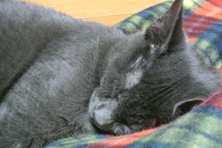 f0374160_17210009.jpg
